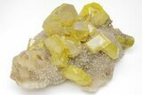 Striking Yellow Sulfur Crystals on Fluorescent Aragonite - Italy #209543-1